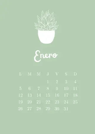 Captura de pantalla 2026-02-19 205043.webp