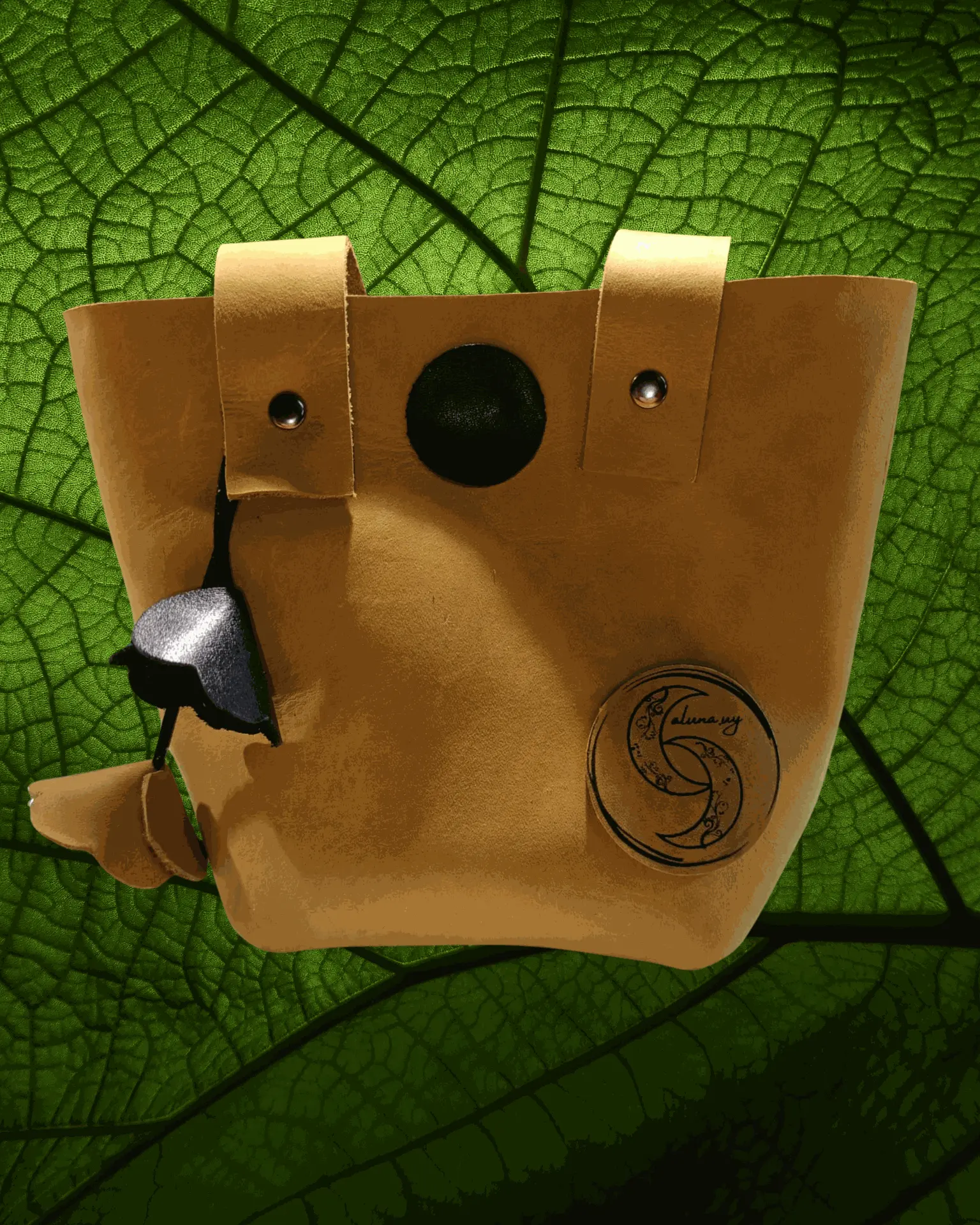 Fotos carteras (1).webp