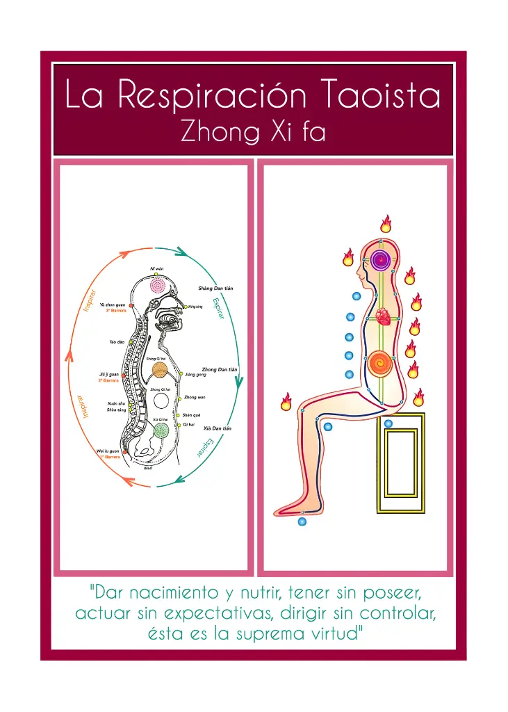 Hojas varias decoradas 21 x 15 cm (2).webp