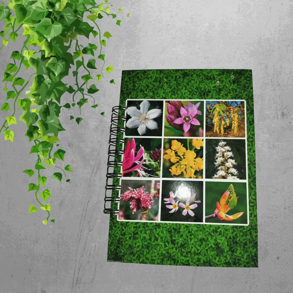 Libreta de Fitoterapias